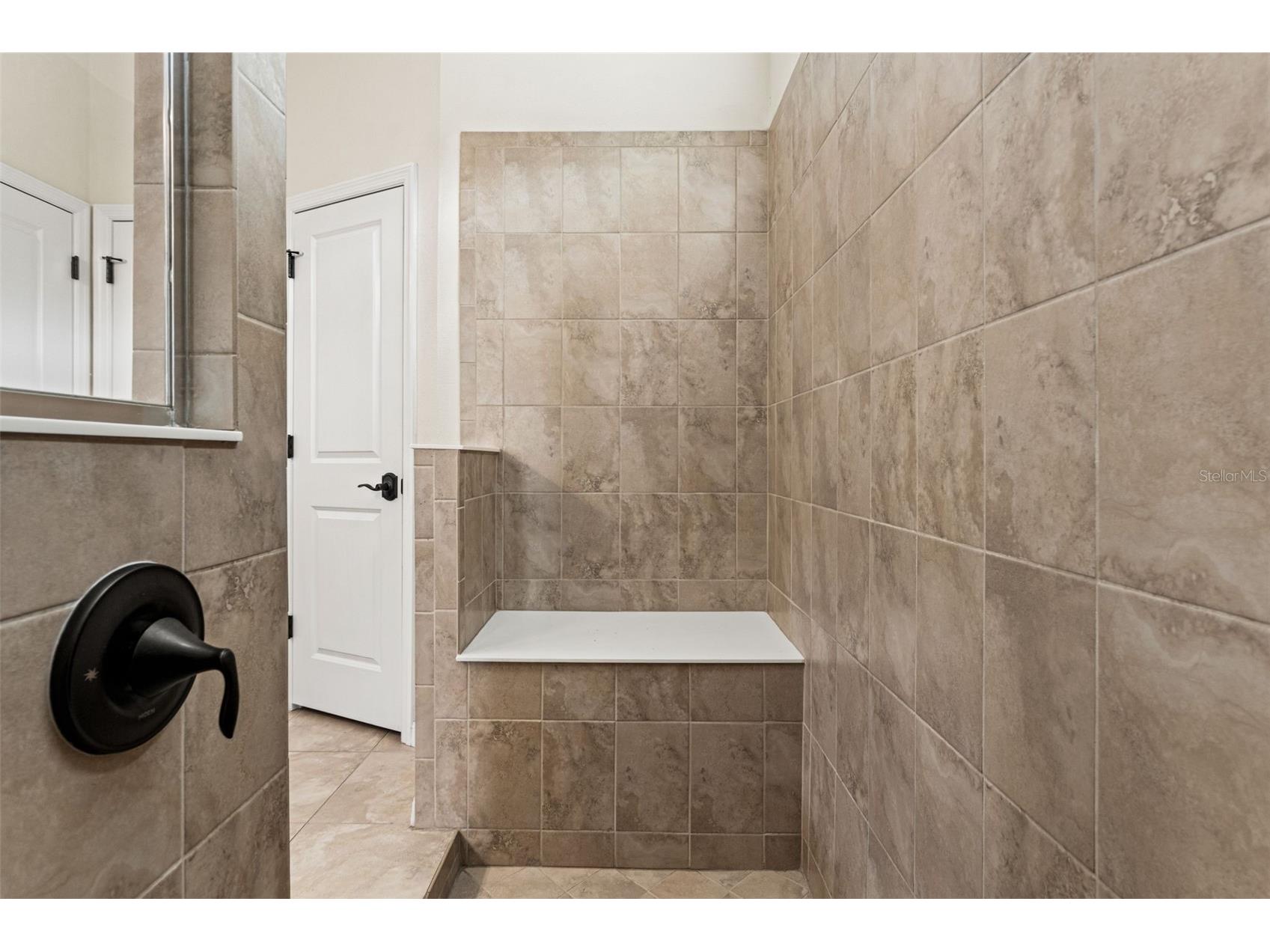 8296 Olive Brook Drive Wesley Chapel FL 33545 TB8481437 image36