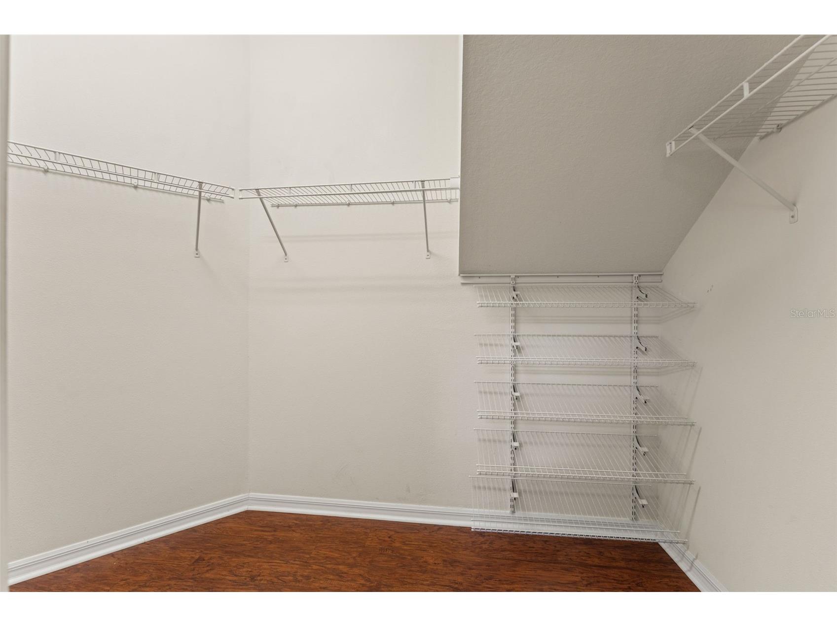8296 Olive Brook Drive Wesley Chapel FL 33545 TB8481437 image37
