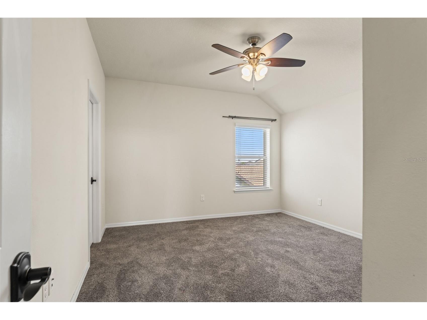 8296 Olive Brook Drive Wesley Chapel FL 33545 TB8481437 image45