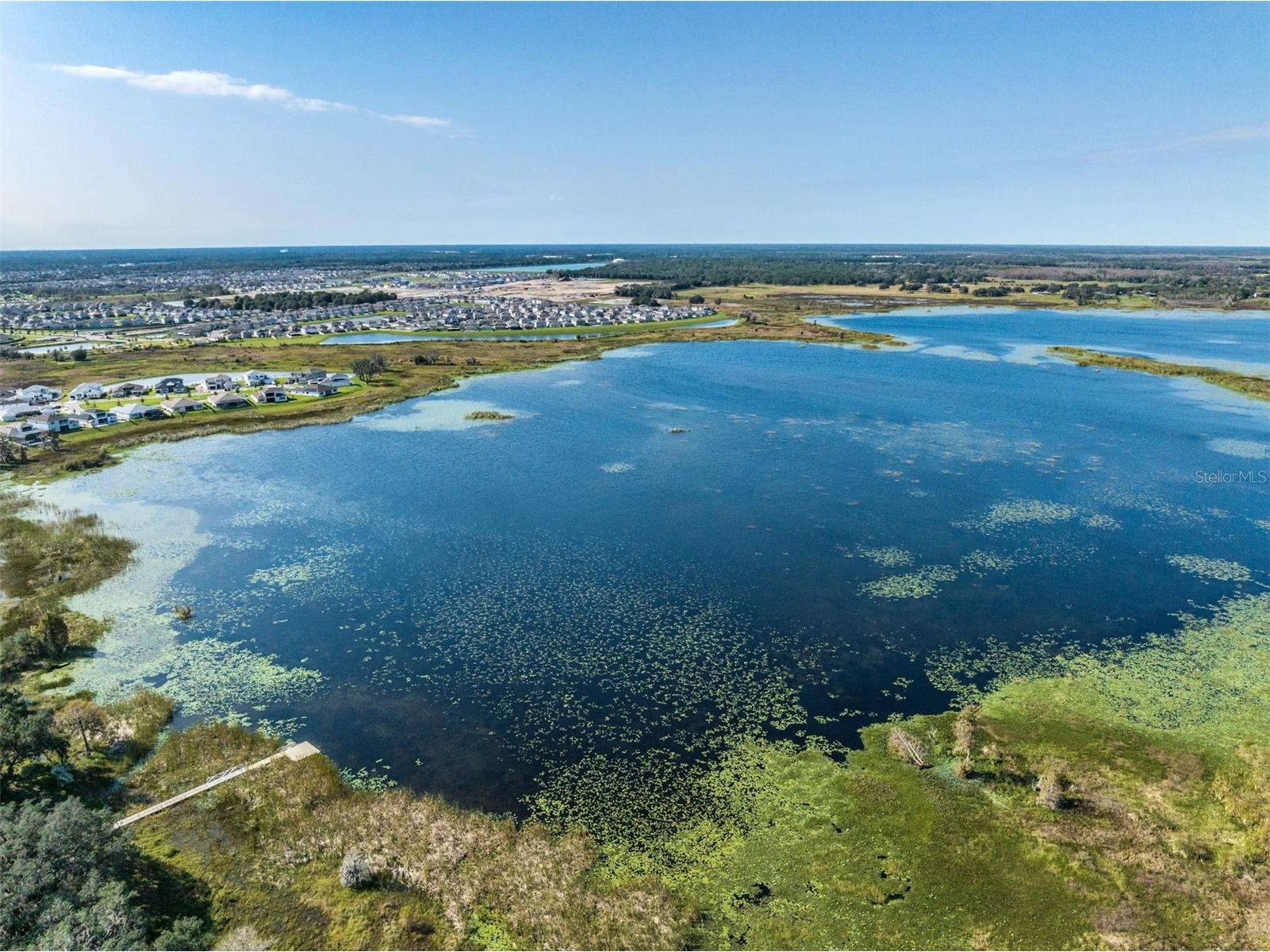 8296 Olive Brook Drive Wesley Chapel FL 33545 TB8481437 image56