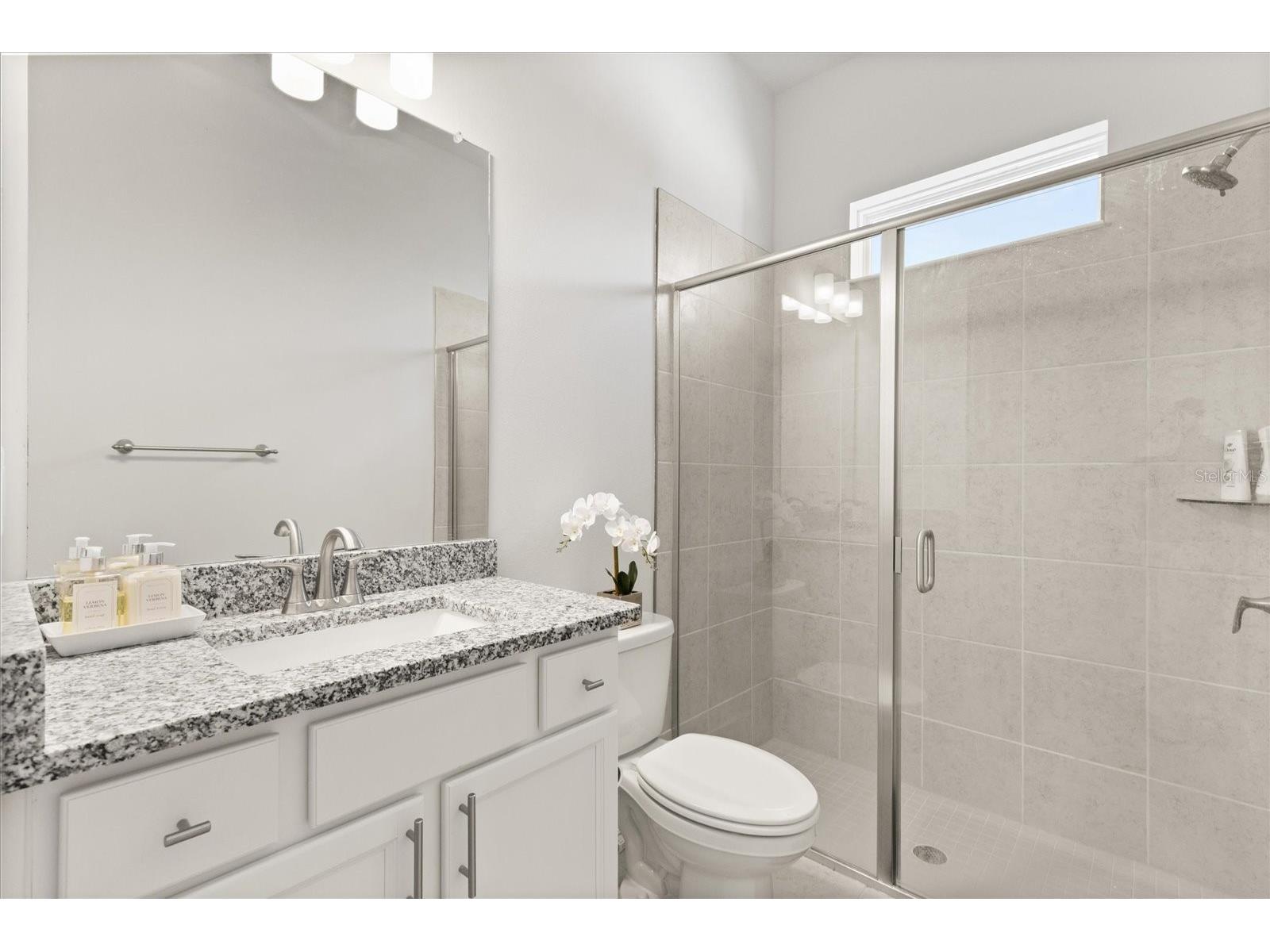 8297 Ivy Stark Boulevard Wesley Chapel FL 33545 O6378040 image10