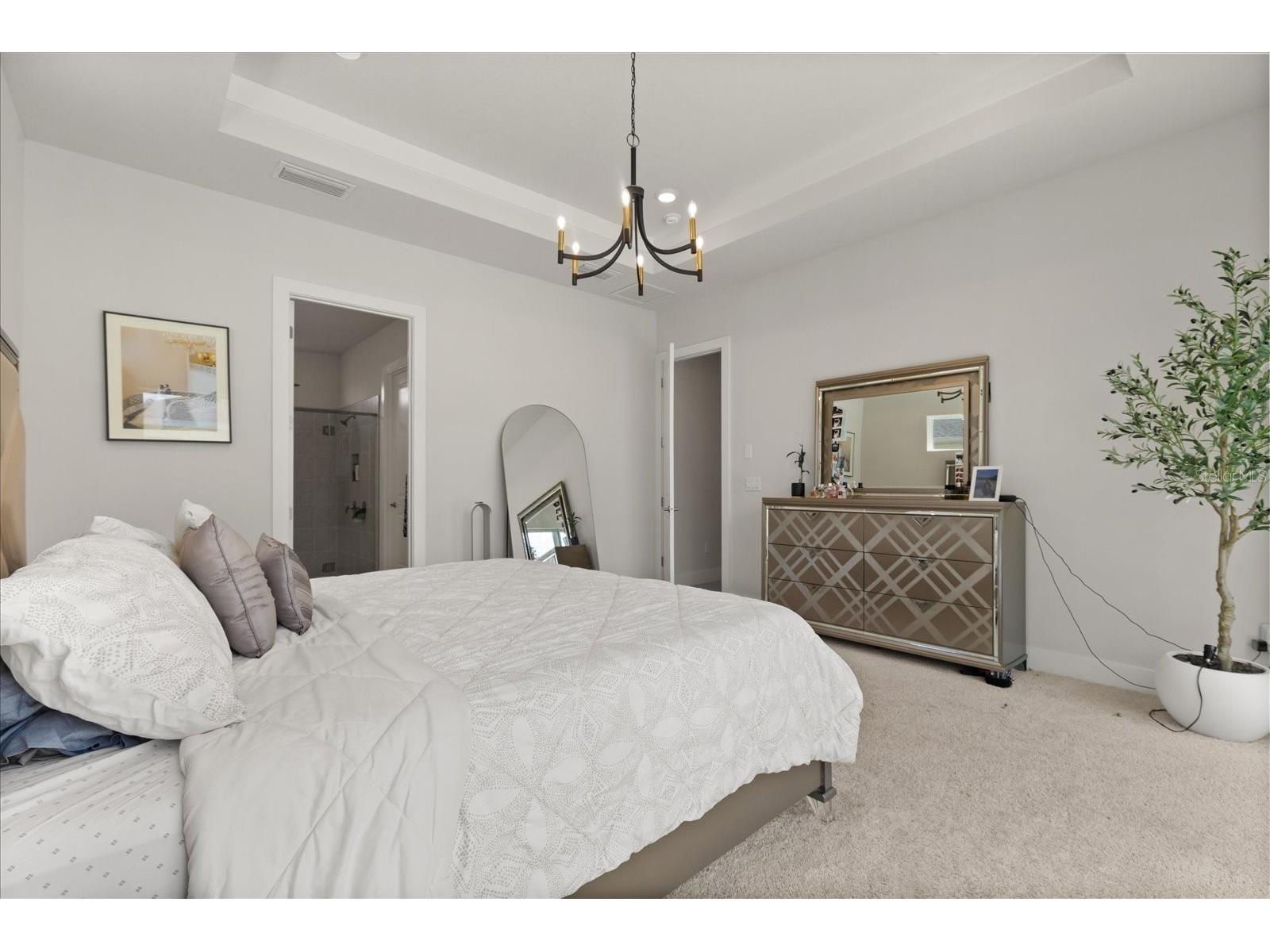 8297 Ivy Stark Boulevard Wesley Chapel FL 33545 O6378040 image15