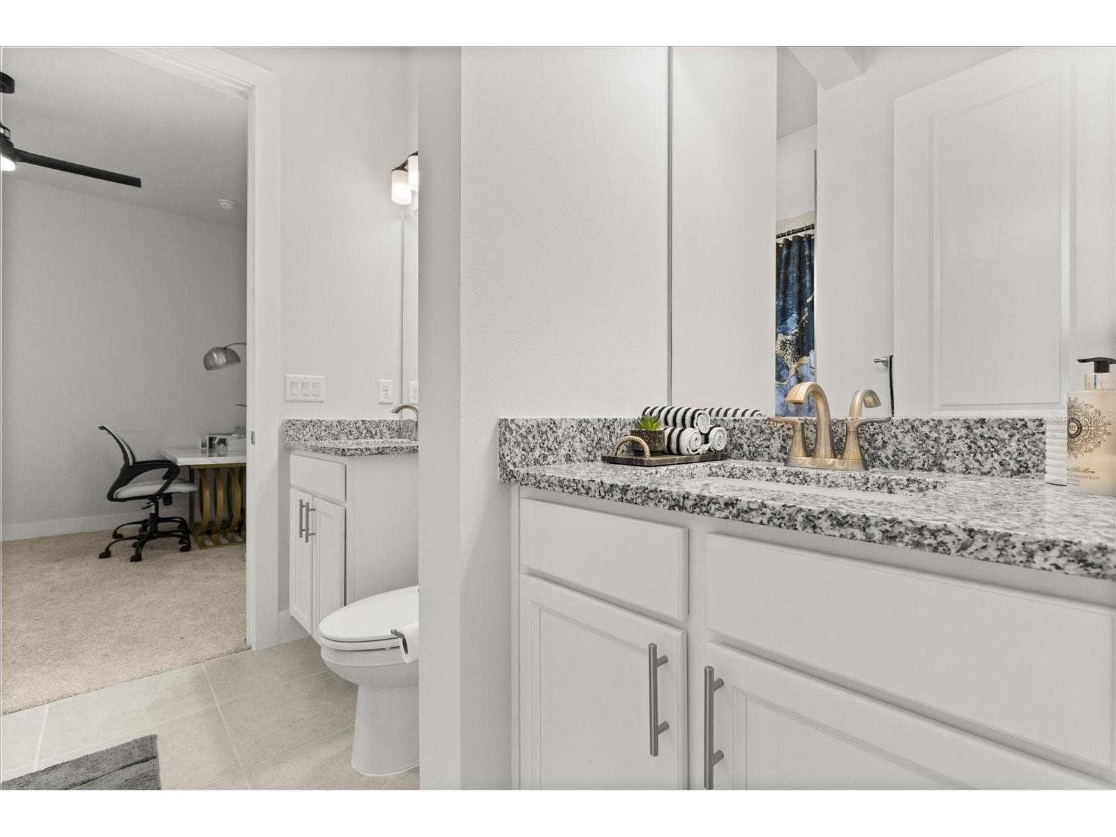 8297 Ivy Stark Boulevard Wesley Chapel FL 33545 O6378040 image20