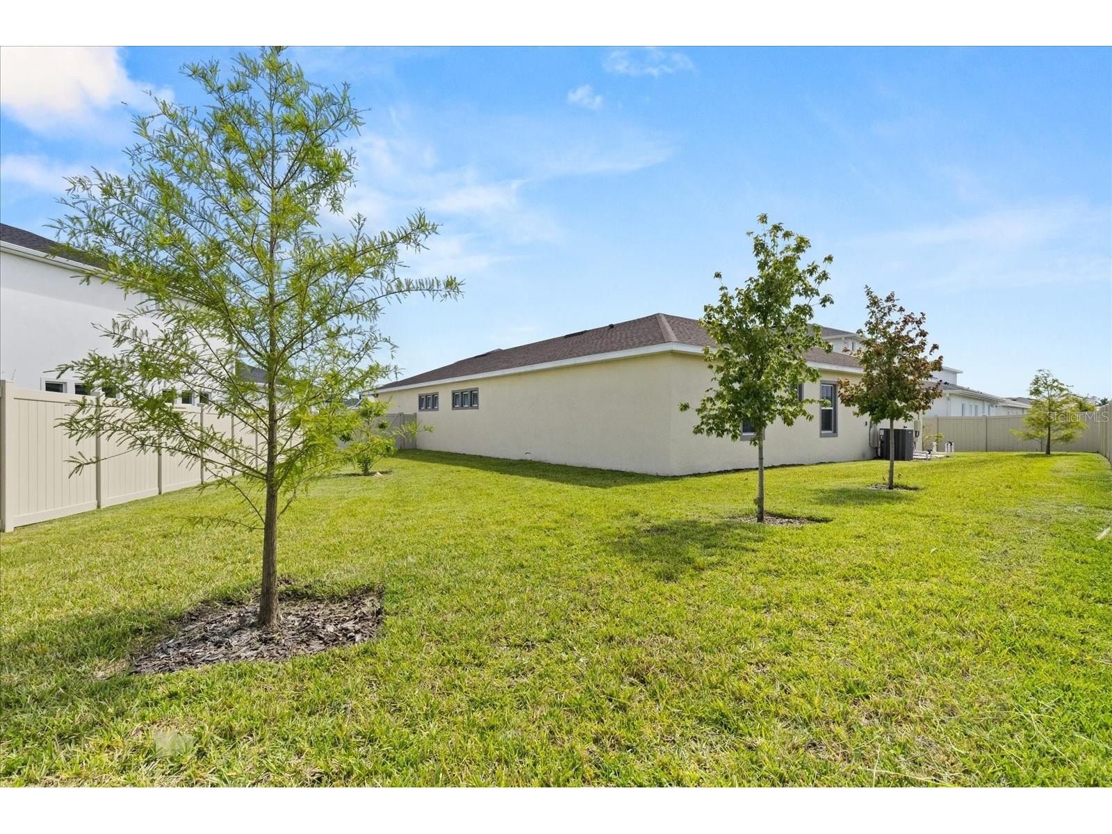 8297 Ivy Stark Boulevard Wesley Chapel FL 33545 O6378040 image28