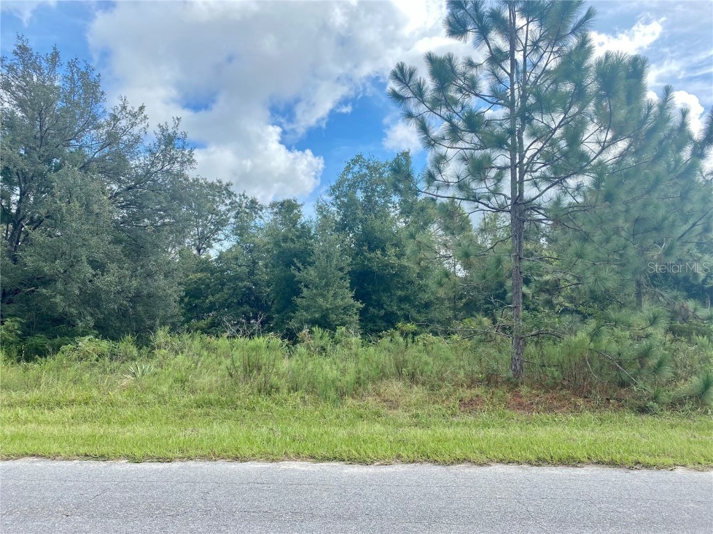 8297 N Vince Drive Citrus Springs FL 34434 G5046848 image1