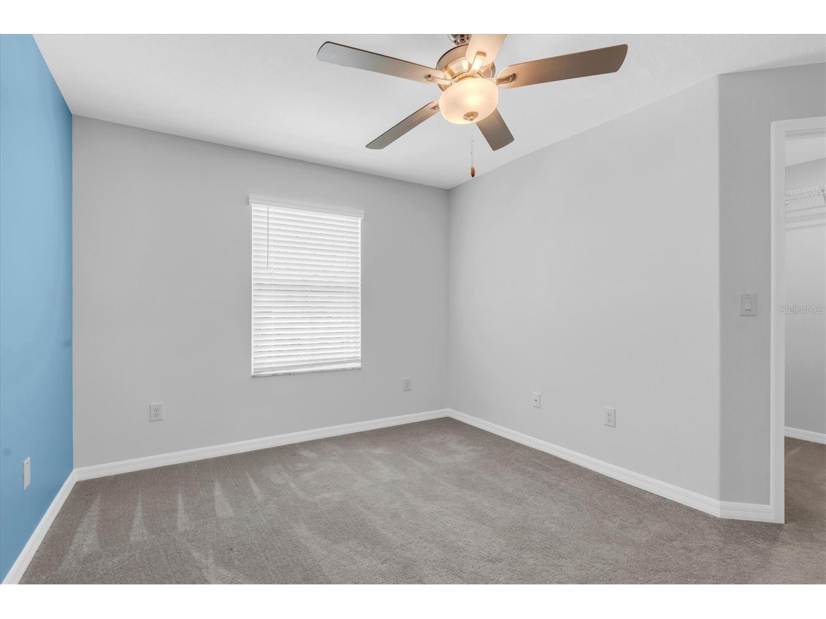 8299 Birch Haven Lane New Port Richey FL 34655 W7884292 image29