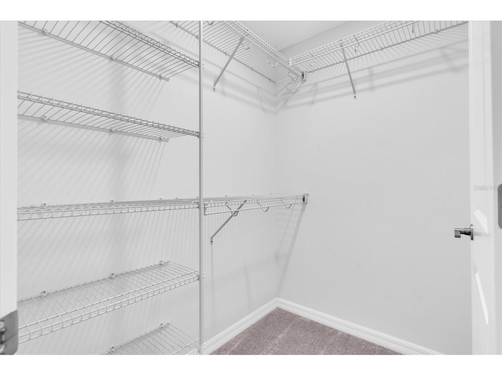 8299 Birch Haven Lane New Port Richey FL 34655 W7884292 image32