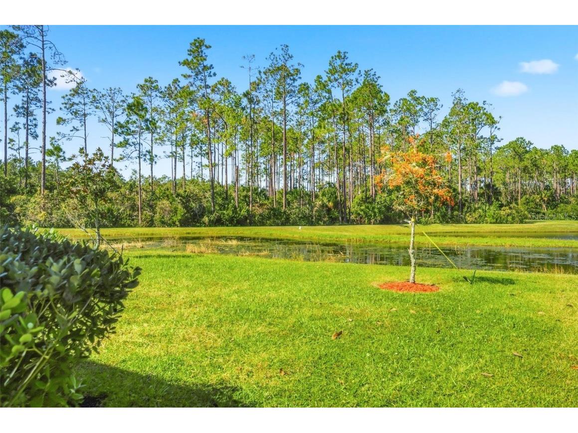 83 Hummingbird Court Palm Coast FL 32164 FC313683 image54