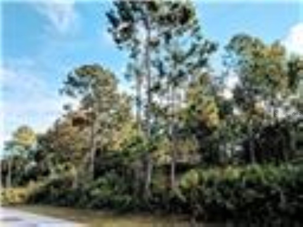 83 Pine Haven Dr Palm Coast FL 32164 FC308798 image1