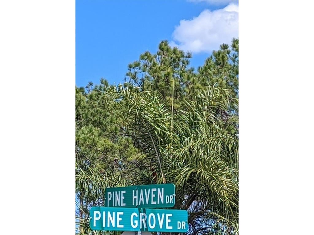 83 Pine Haven Dr Palm Coast FL 32164 FC308798 image4