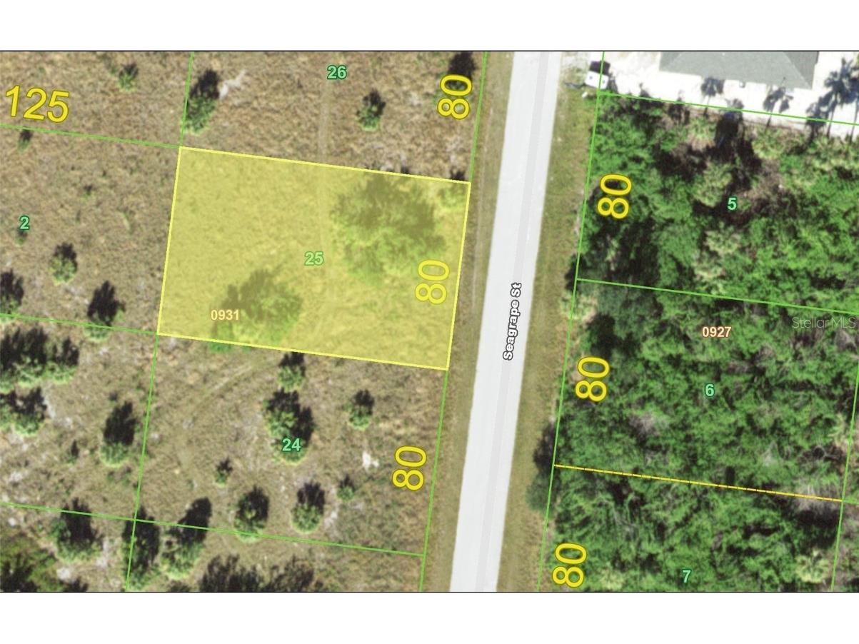 83 Seagrape Street Port Charlotte FL 33954 C7484938 image1