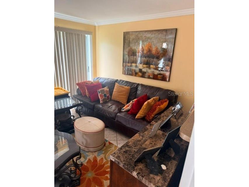 830 55th Avenue S Saint Petersburg FL 33705 TB8514646 image10