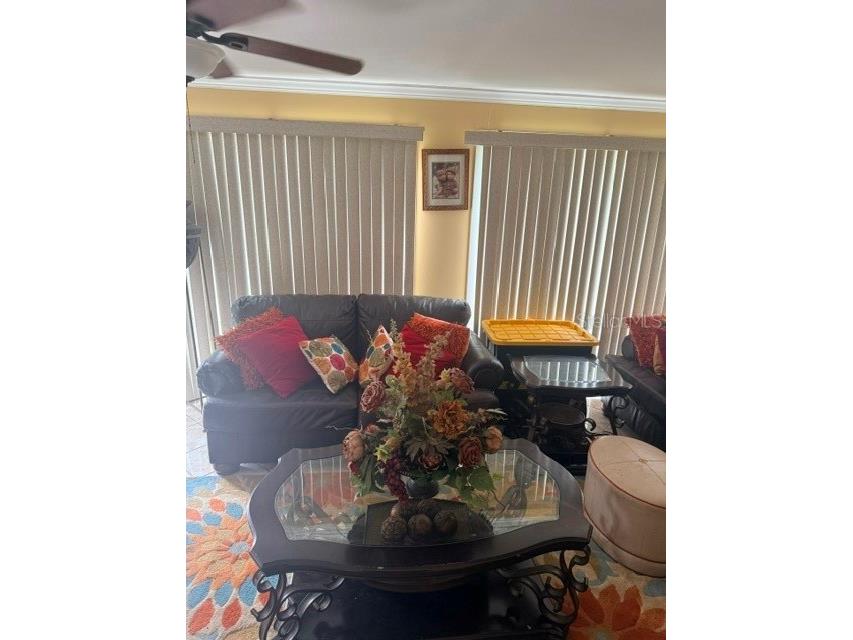 830 55th Avenue S Saint Petersburg FL 33705 TB8514646 image11