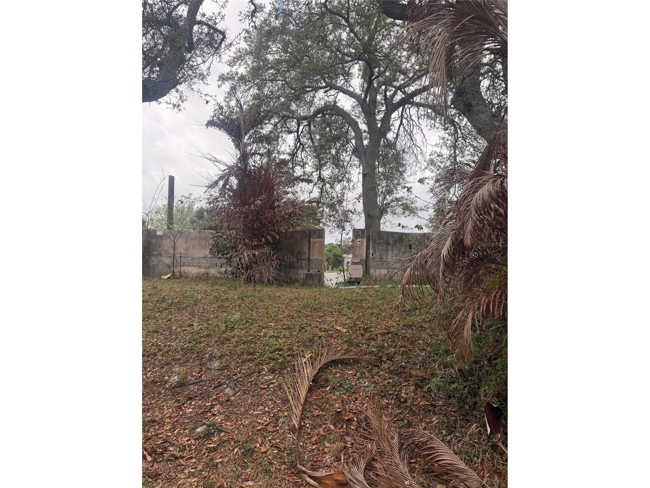 830 Berkshire Road Daytona Beach FL 32117 O6390787 image6