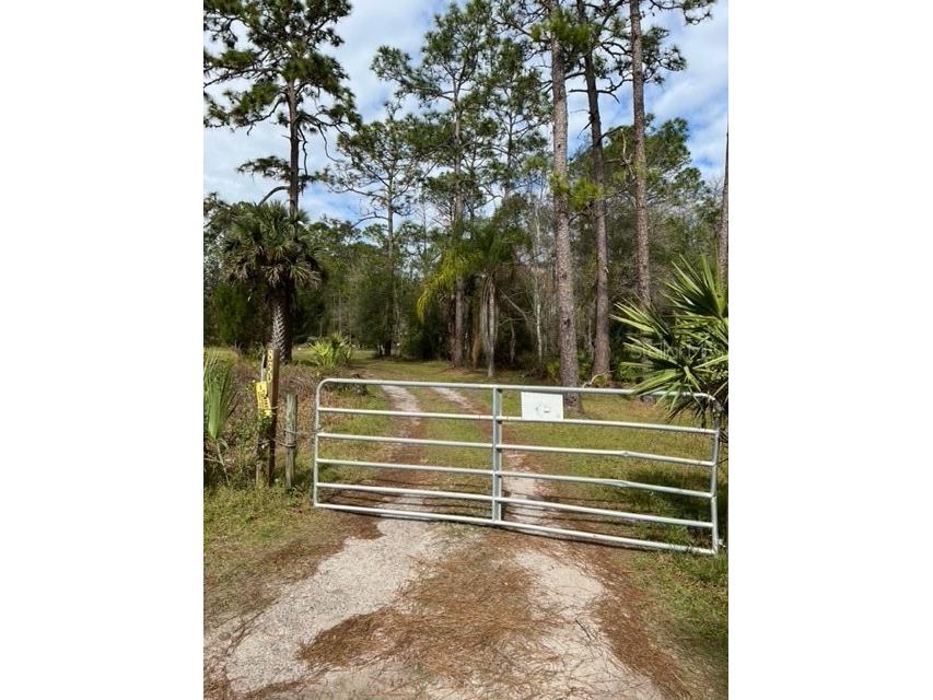 830 Doe Drive E Osteen FL 32764 O6102411 image1