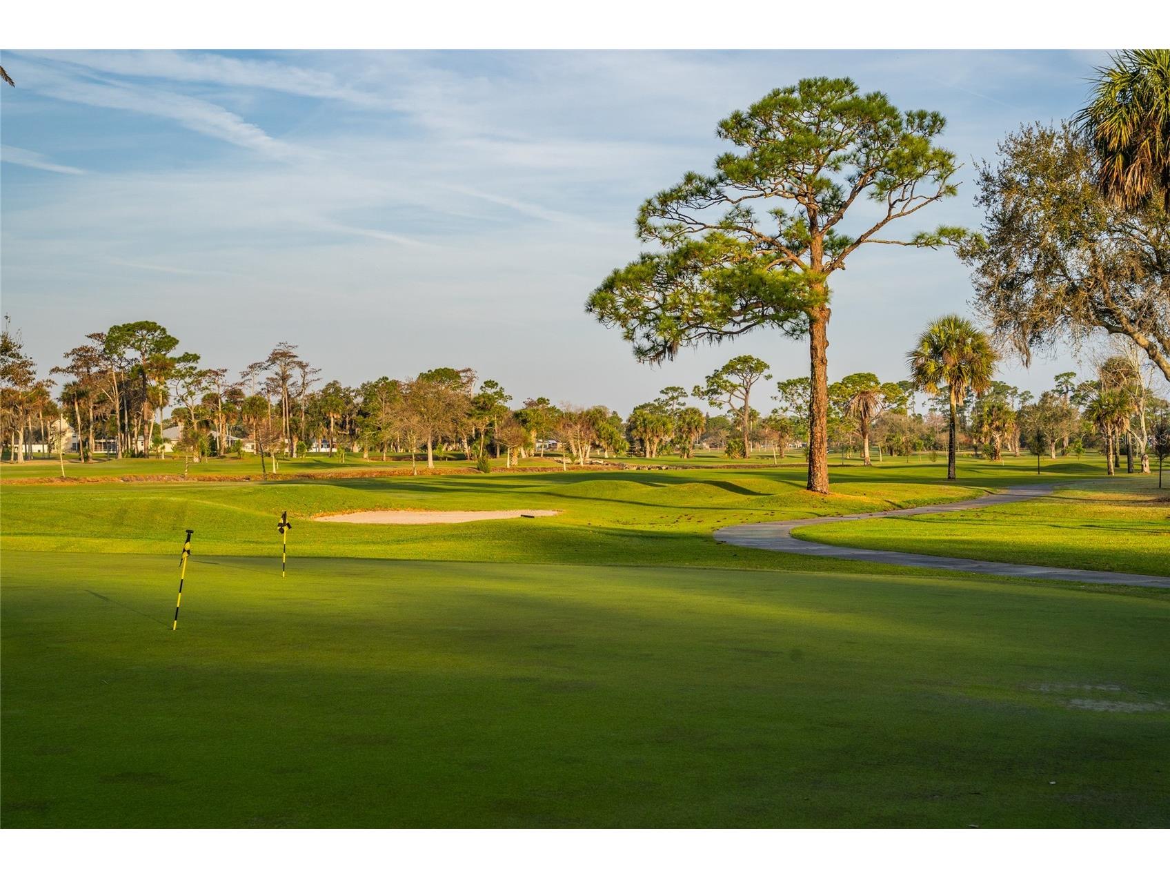 830 Fairway Drive New Smyrna Beach FL 32168 NS1087357 image37