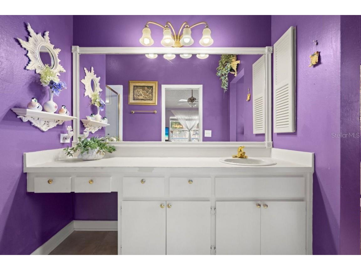 830 Franklin Circle Palm Harbor FL 34683 TB8421695 image17