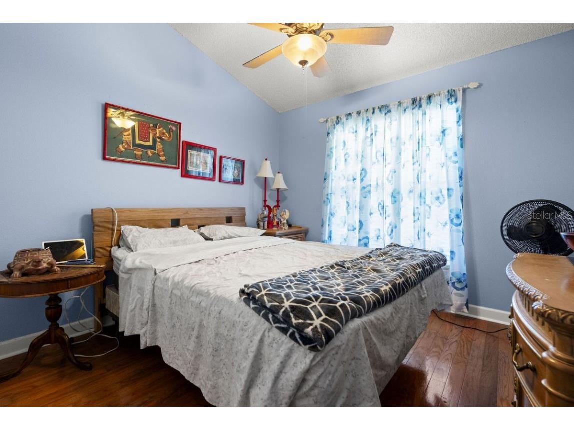 830 Franklin Circle Palm Harbor FL 34683 TB8421695 image19