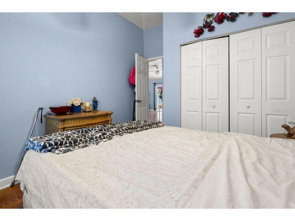 830 Franklin Circle Palm Harbor FL 34683 TB8421695 image20