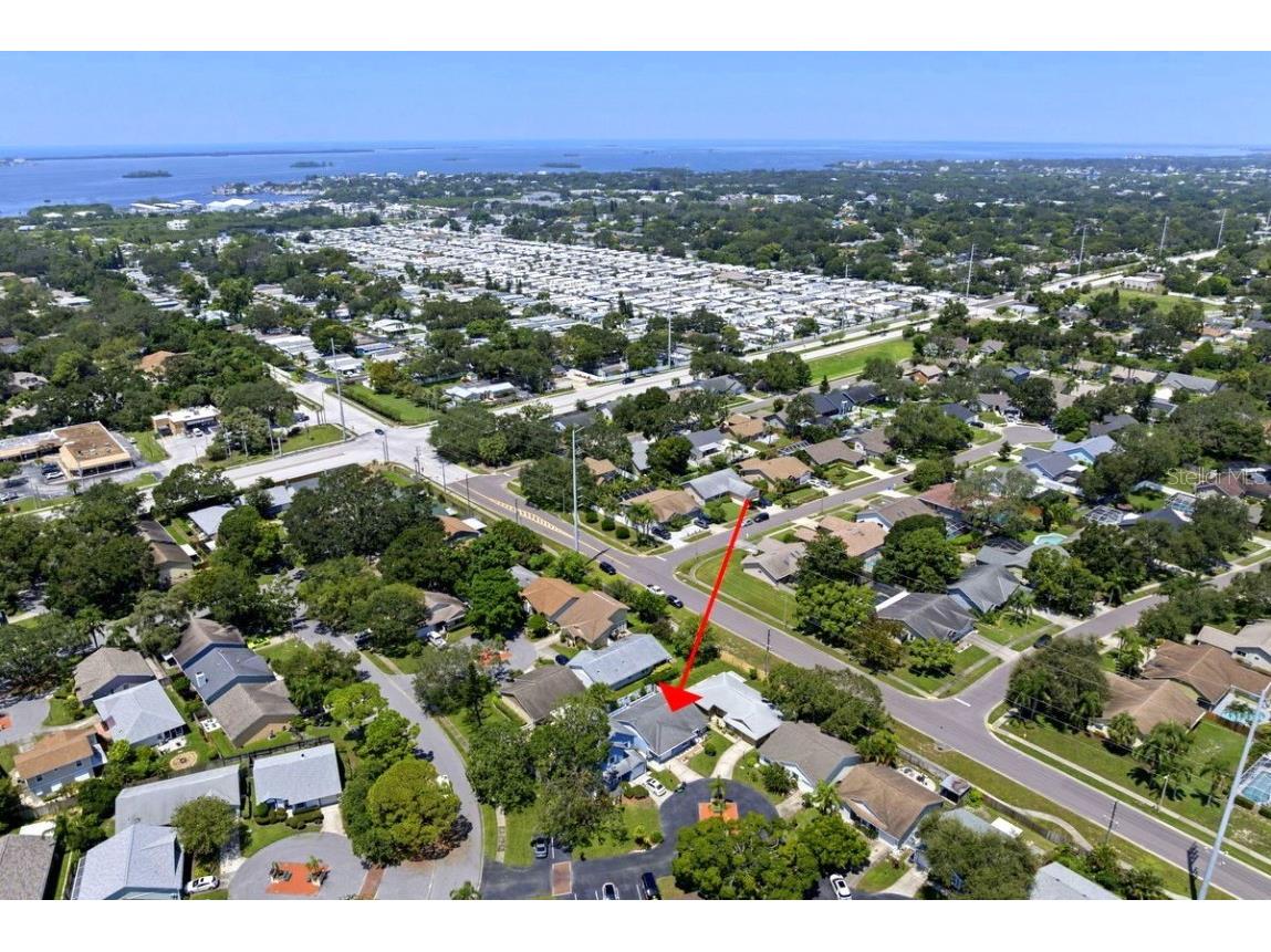 830 Franklin Circle Palm Harbor FL 34683 TB8421695 image31