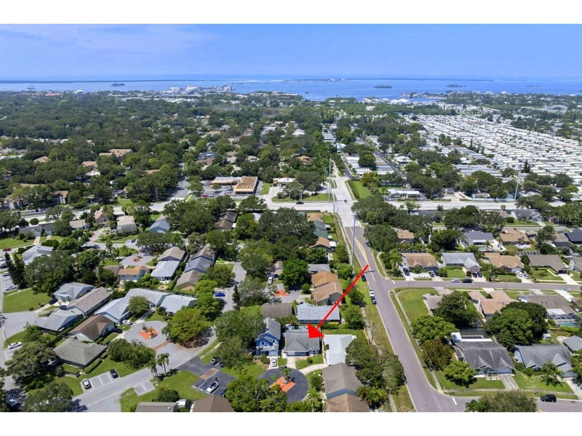 830 Franklin Circle Palm Harbor FL 34683 TB8421695 image32
