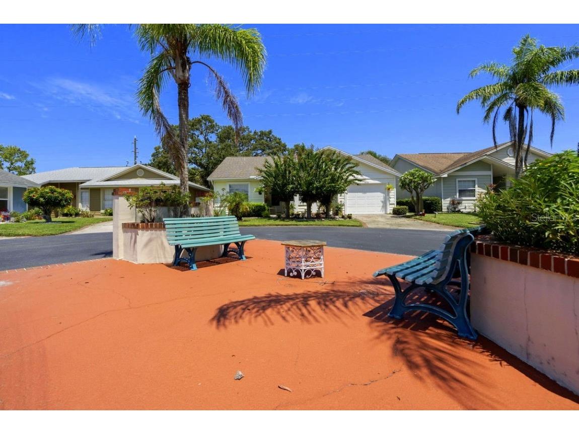 830 Franklin Circle Palm Harbor FL 34683 TB8421695 image33