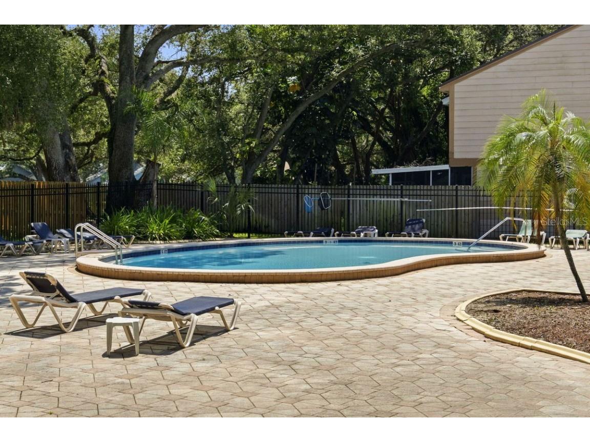 830 Franklin Circle Palm Harbor FL 34683 TB8421695 image34