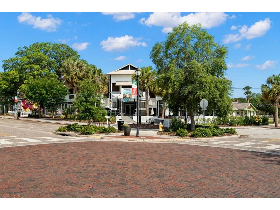 830 Franklin Circle Palm Harbor FL 34683 TB8421695 image39