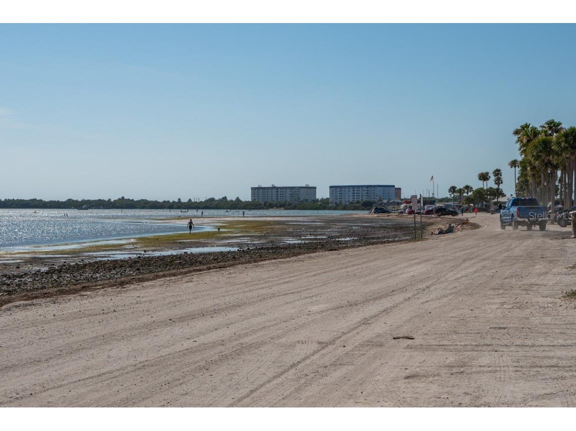 830 Franklin Circle Palm Harbor FL 34683 TB8421695 image41