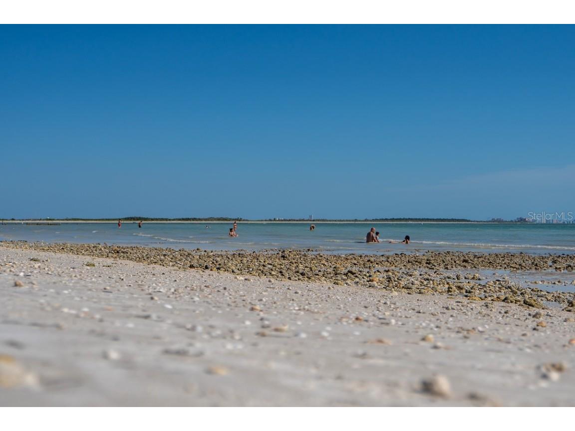 830 Franklin Circle Palm Harbor FL 34683 TB8421695 image42