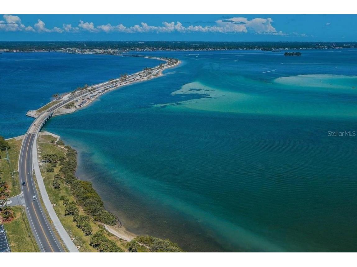 830 Franklin Circle Palm Harbor FL 34683 TB8421695 image44