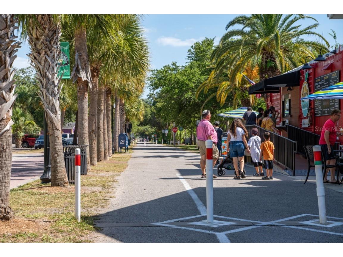 830 Franklin Circle Palm Harbor FL 34683 TB8421695 image54