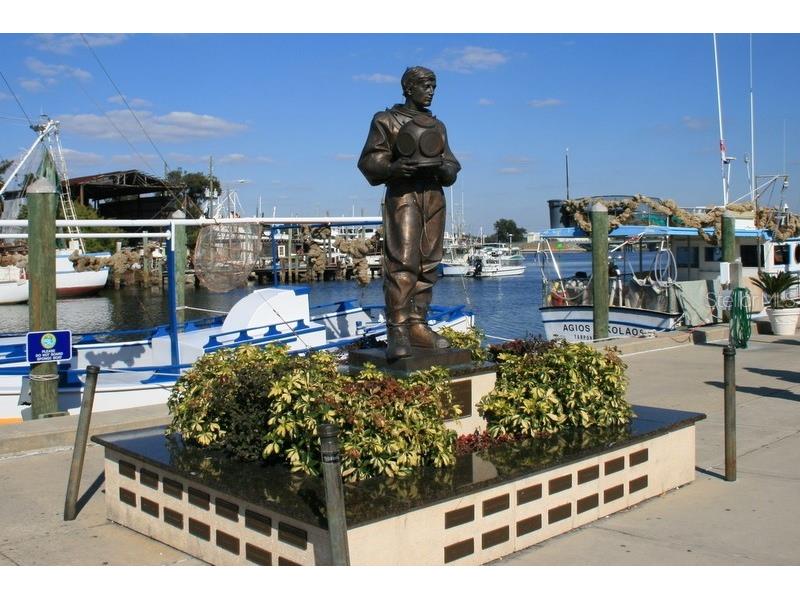 830 Franklin Circle Palm Harbor FL 34683 TB8421695 image59