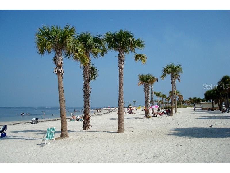 830 Franklin Circle Palm Harbor FL 34683 TB8421695 image60