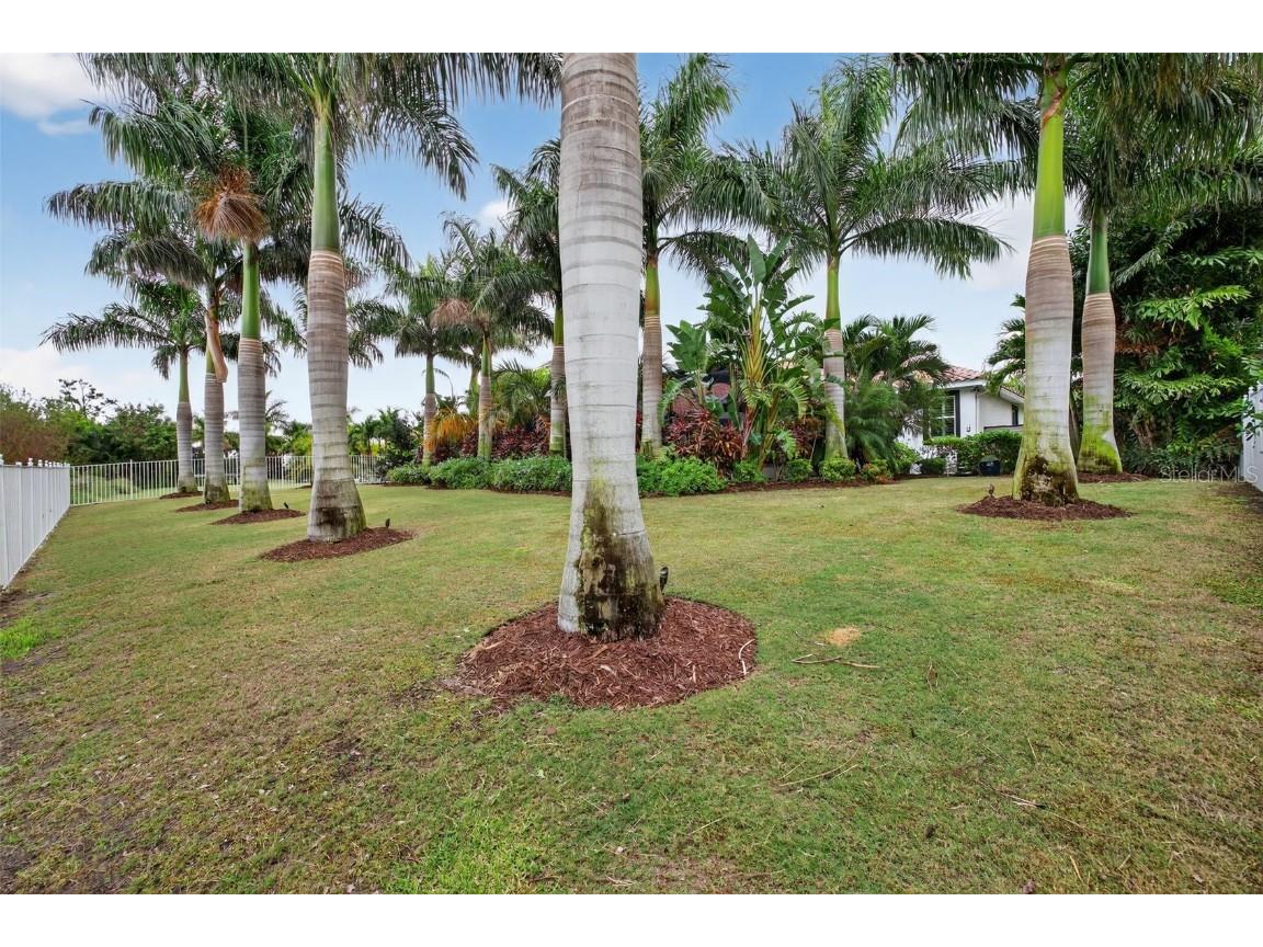 830 Manns Harbor Drive Apollo Beach FL 33572 TB8446969 image44