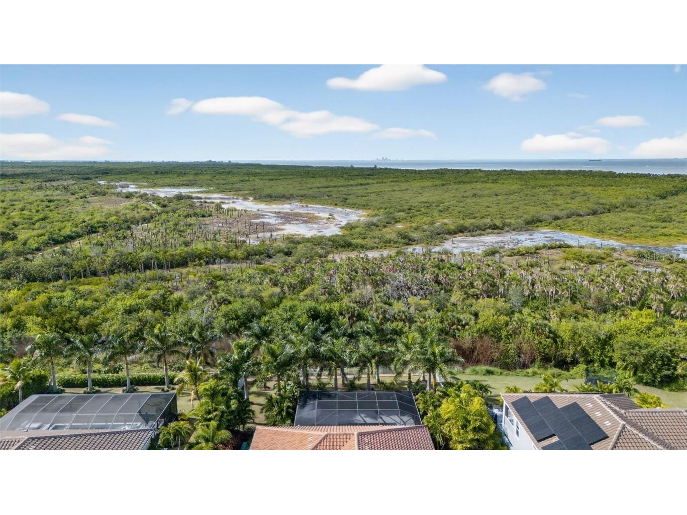 830 Manns Harbor Drive Apollo Beach FL 33572 TB8446969 image45