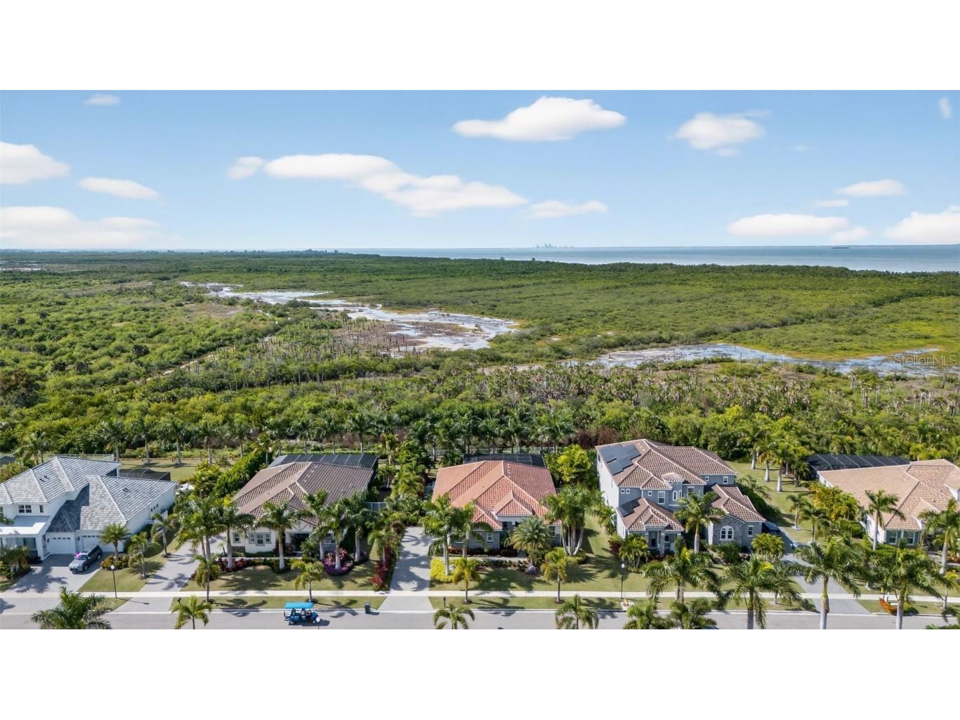 830 Manns Harbor Drive Apollo Beach FL 33572 TB8446969 image50