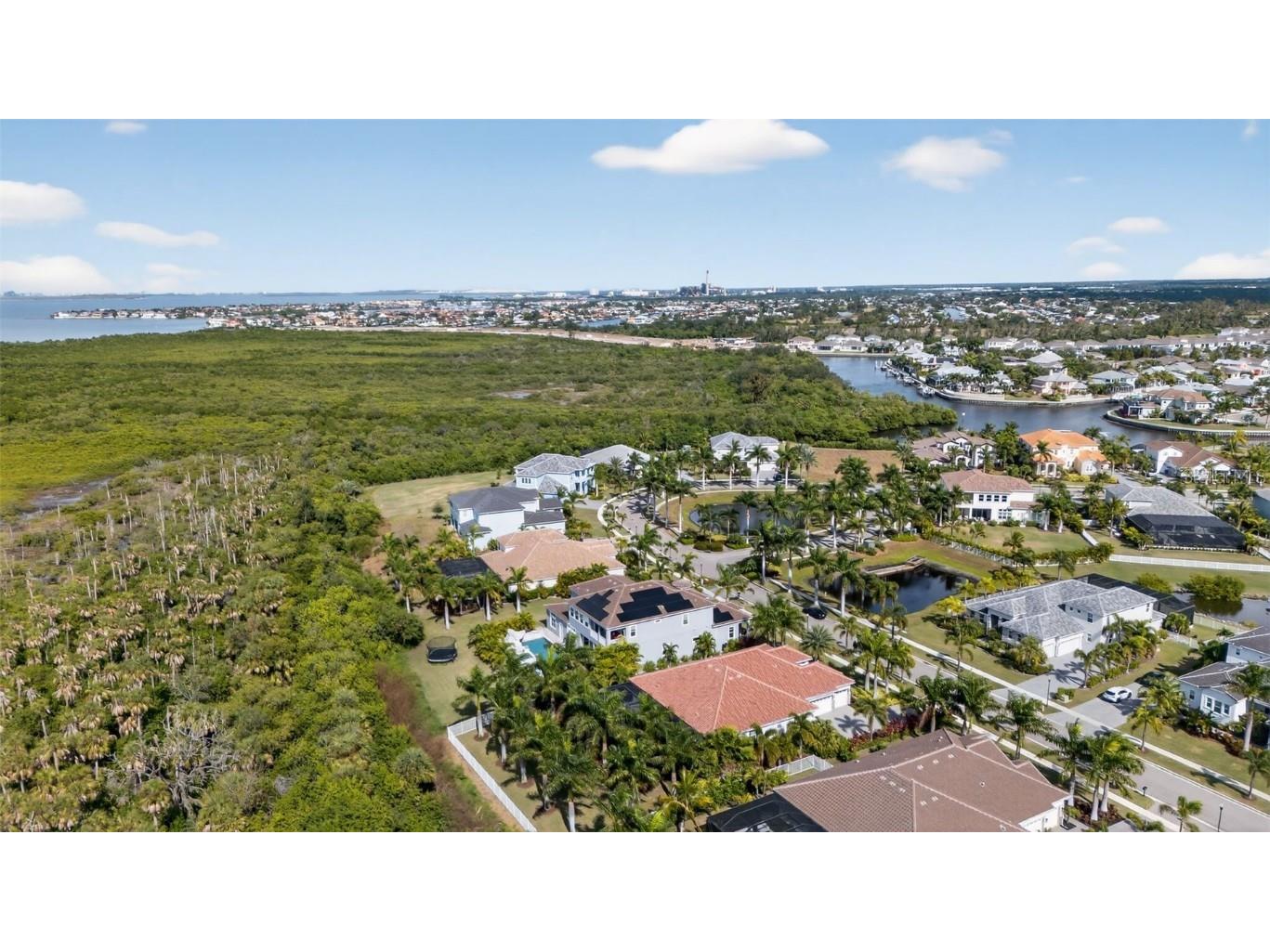 830 Manns Harbor Drive Apollo Beach FL 33572 TB8446969 image53