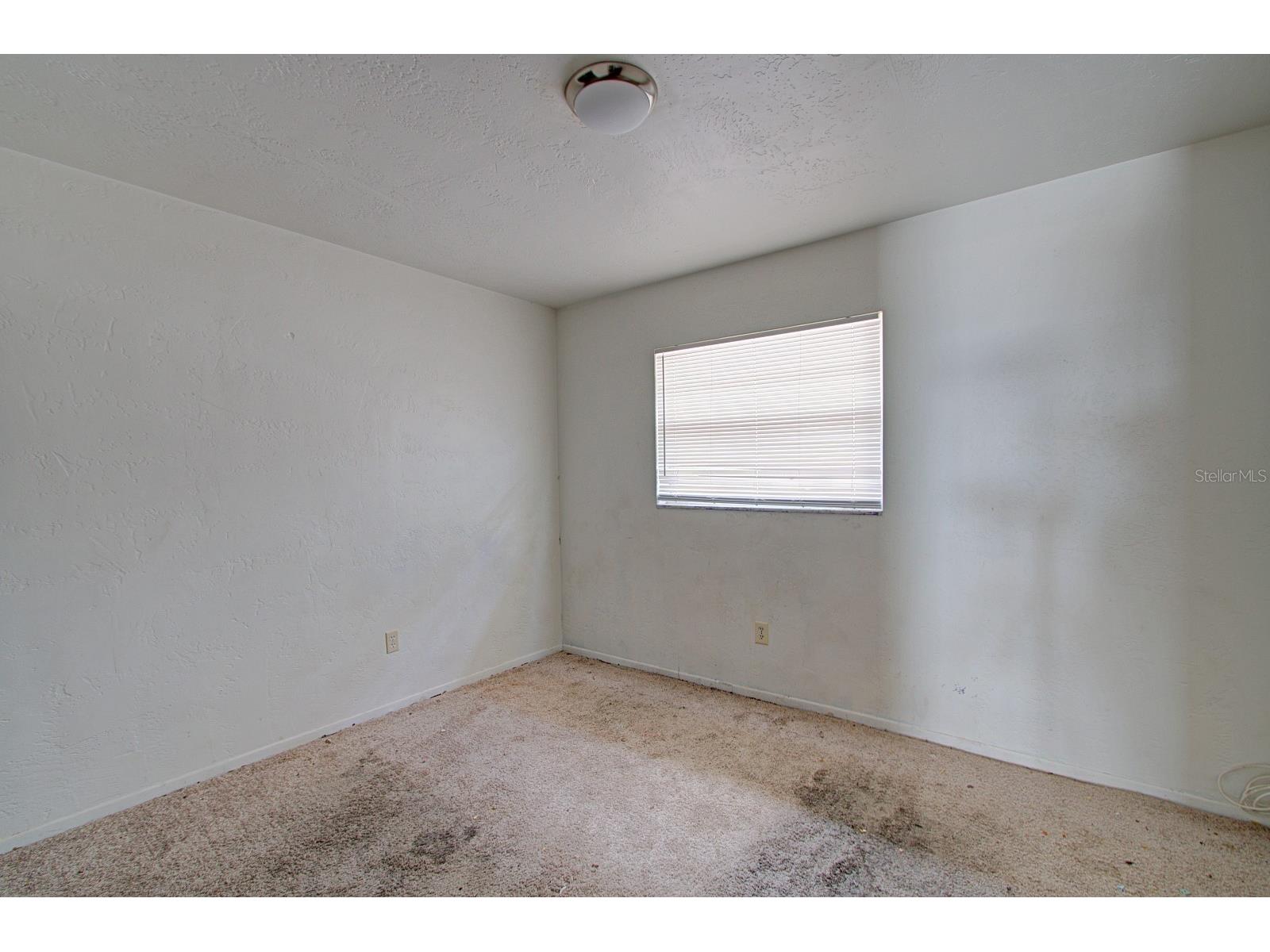 830 N Clake Street Deland FL 32724 V4948862 image29