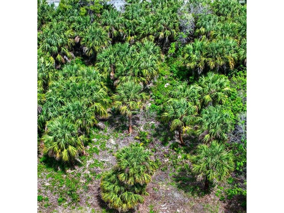 830 Nightengale Street SW Palm Bay FL 32908 O6410578 image1