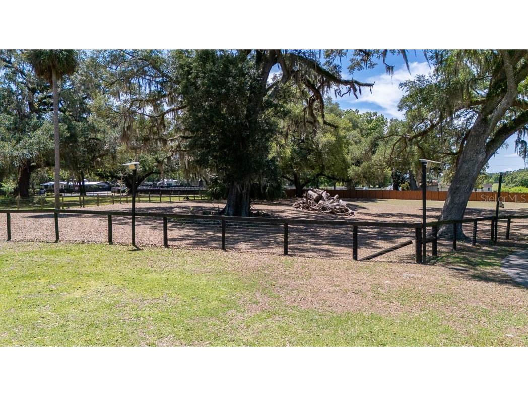 830 NW 111th Lane Oxford FL 34484 S5150375 image10