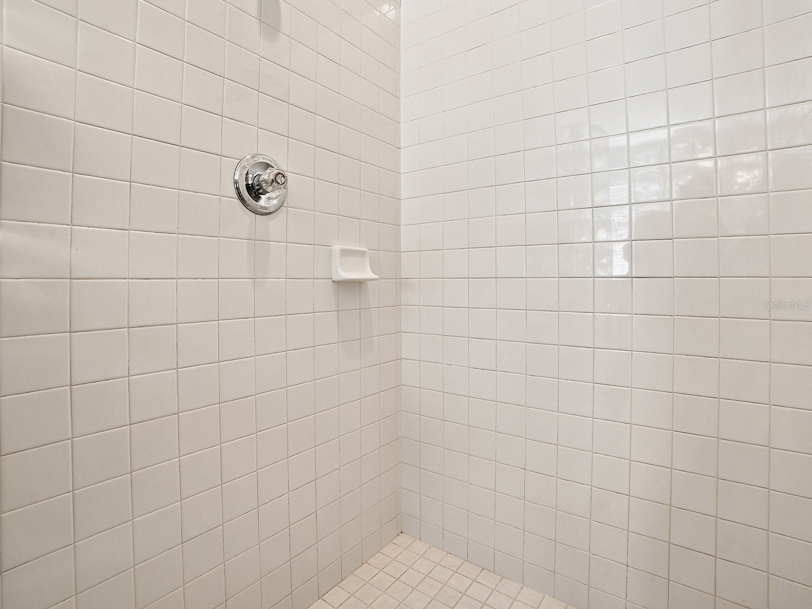 830 Old Oaks Lane Leesburg FL 34748 G5114533 image37