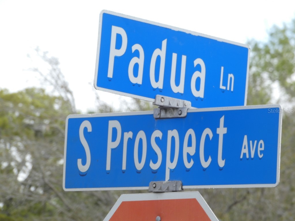 830 Padua Lane Clearwater FL 33756 W7883710 image27