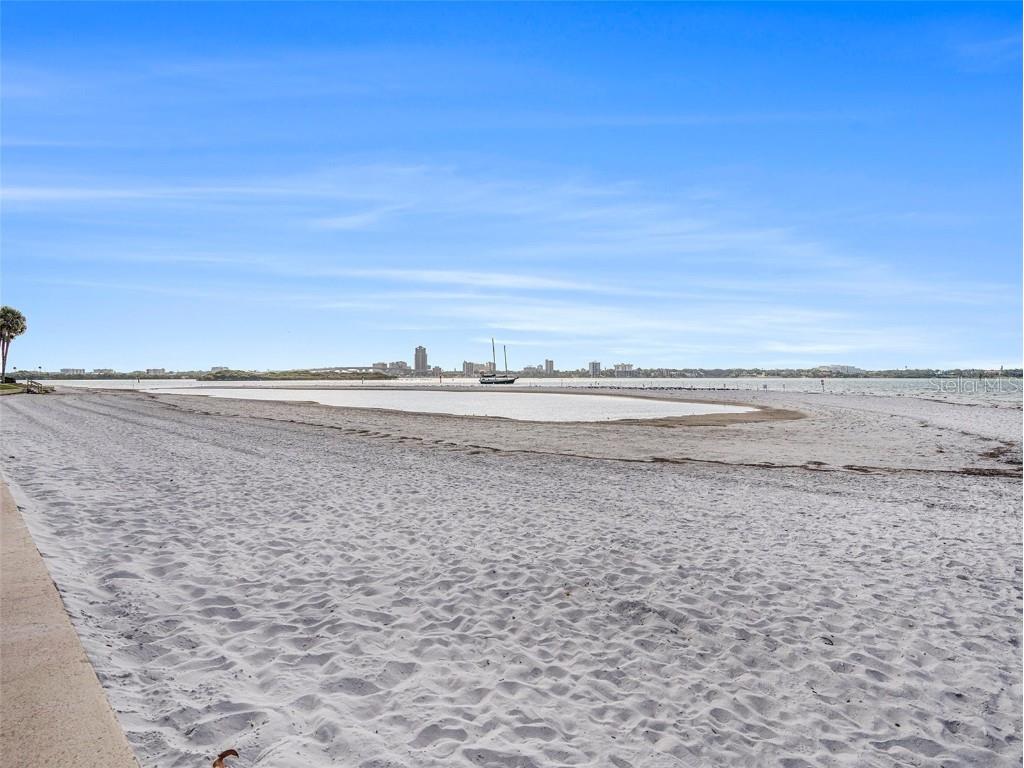 830 S Gulfview Boulevard #102 Clearwater Beach FL 33767 TB8383693 image22