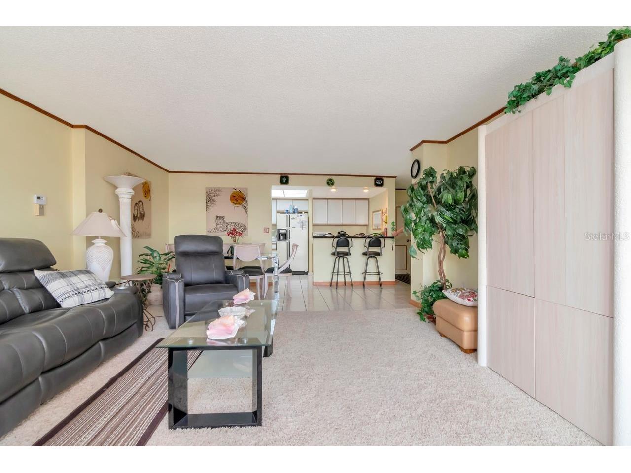 830 S Gulfview Boulevard #502 Clearwater Beach FL 33767 TB8471359 image33