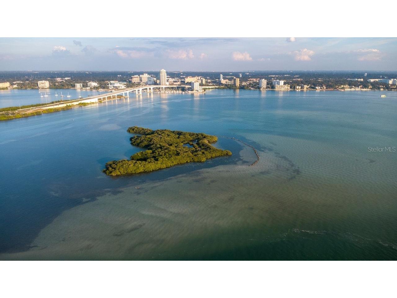830 S Gulfview Boulevard #502 Clearwater Beach FL 33767 TB8471359 image4