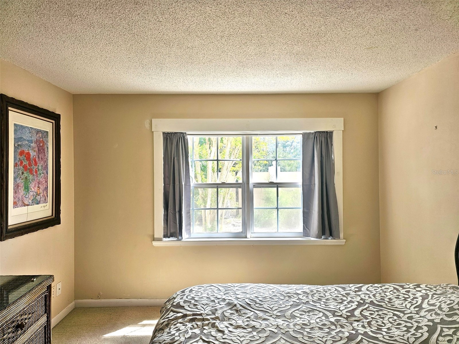 8300 Bardmoor Boulevard #105 Seminole FL 33777 O6386551 image14