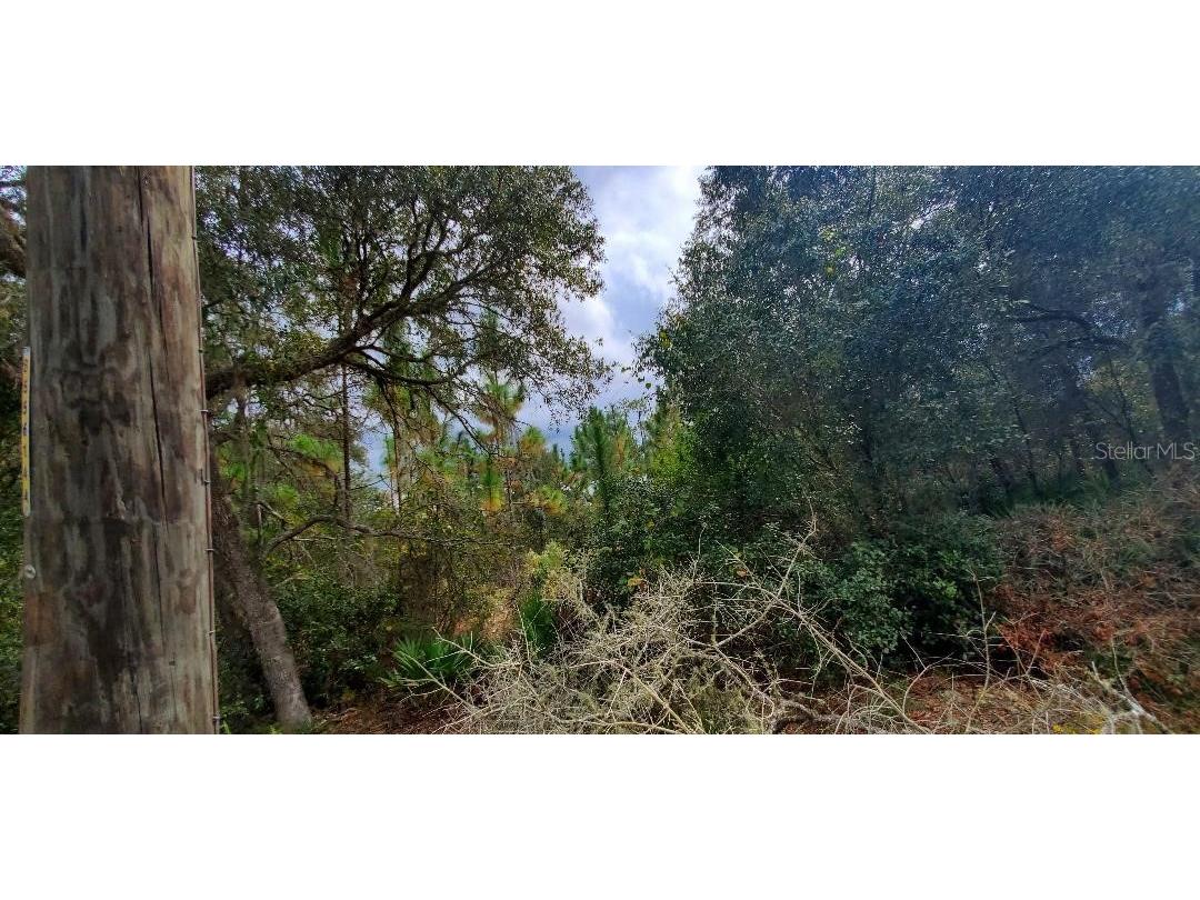 8300 SW 152nd Place Dunnellon FL 34432 OM648402 image1