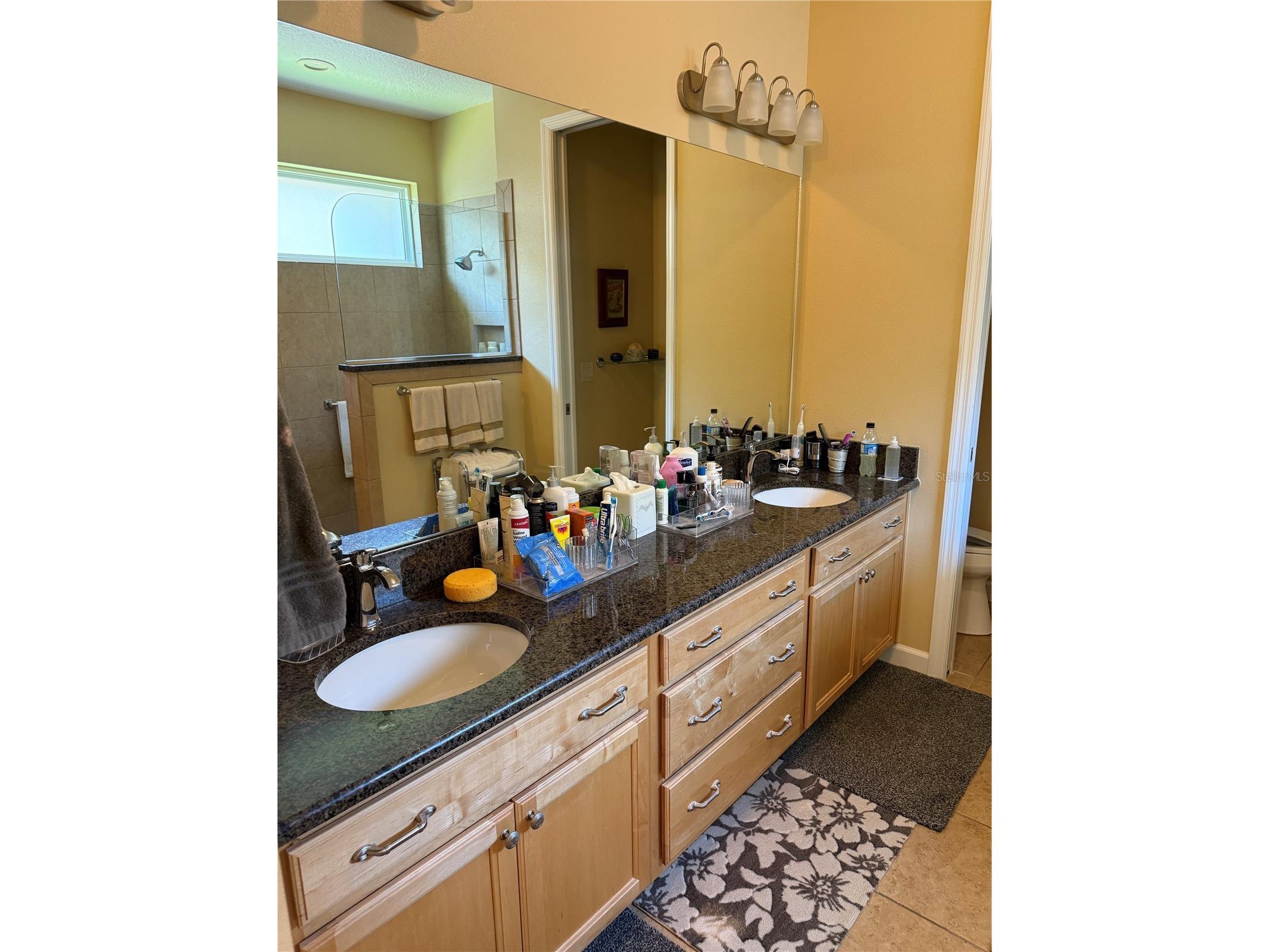 8301 Bridgeport Bay Circle Mount Dora FL 32757 G5108256 image23