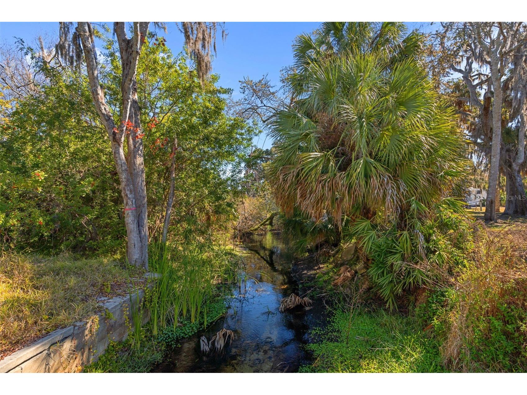 8301 Congress Street Port Richey FL 34668 W7882640 image64